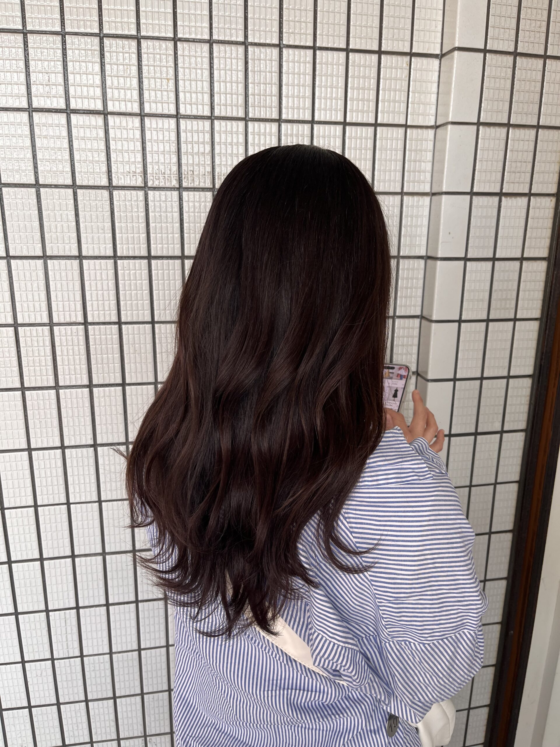 イルミナカラー🪻のメイン画像